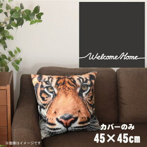 NbVJo[ 45×45cm 􂦂  􂢑ւ wăNbV \t@[` tANbV  ]ʃvg CSC-A061 VvbZubN