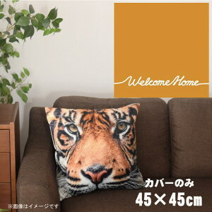 NbVJo[ 45×45cm 􂦂  􂢑ւ wăNbV \t@[` tANbV  ]ʃvg CSC-A062 VvbZIW