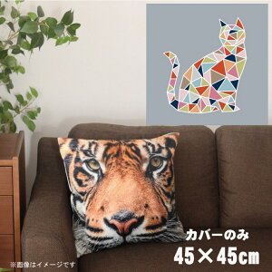 NbVJo[ 45×45cm 􂦂  􂢑ւ wăNbV \t@[` tANbV  ]ʃvg CSC-A076 UCNLbgO[