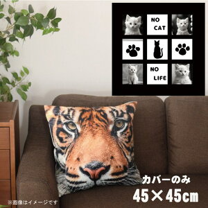 NbVJo[ 45×45cm 􂦂  􂢑ւ wăNbV \t@[` tANbV  ]ʃvg CSC-A077 ˂ՃubN