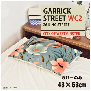 Jo[  킢 ܂Jo[ s[P[X 43×63cm k 􂦂 Jo[̂ t@Xi[t Q Ȃ߂炩 ӂӂ NbVJo[ ]ʃvg CSC-D084 K[bNXg[