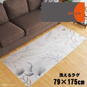 O 􂦂 k  79×175cm J[ybg CXg ANZgO ANZg}bg I[V[Y rO _CjO Q zbgJ[ybgΉ ]ʃvg TEN110-C AuXg