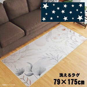 O 􂦂 k  79×175cm J[ybg CXg ANZgO ANZg}bg I[V[Y rO _CjO Q zbgJ[ybgΉ ]ʃvg TEN066-C EFX^