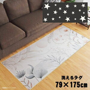 O 􂦂 k  79×175cm J[ybg CXg ANZgO ANZg}bg I[V[Y rO _CjO Q zbgJ[ybgΉ ]ʃvg TEN067-C EFX^