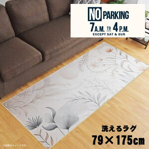 O 􂦂 k  79×175cm J[ybg CXg ANZgO ANZg}bg I[V[Y rO _CjO Q zbgJ[ybgΉ ]ʃvg TEN068-C m[p[