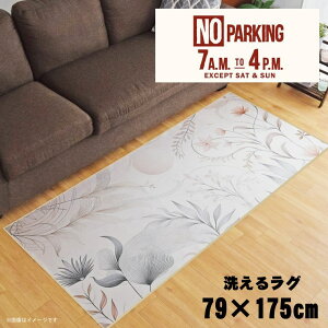 O 􂦂 k  79×175cm J[ybg CXg ANZgO ANZg}bg I[V[Y rO _CjO Q zbgJ[ybgΉ ]ʃvg TEN069-C m[p[