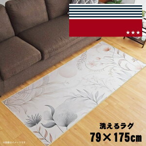 O 􂦂 k  79×175cm J[ybg CXg ANZgO ANZg}bg I[V[Y rO _CjO Q zbgJ[ybgΉ ]ʃvg TEN073-C AJ