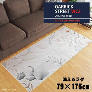 O 􂦂 k  79×175cm J[ybg CXg ANZgO ANZg}bg I[V[Y rO _CjO Q zbgJ[ybgΉ ]ʃvg TEN085-C K[b