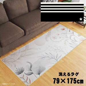 O 􂦂 k  79×175cm J[ybg CXg ANZgO ANZg}bg I[V[Y rO _CjO Q zbgJ[ybgΉ ]ʃvg TEN088-C AJ