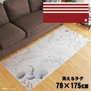 O 􂦂 k  79×175cm J[ybg CXg ANZgO ANZg}bg I[V[Y rO _CjO Q zbgJ[ybgΉ ]ʃvg TEN089-C AJ