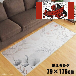 O 􂦂 k  79×175cm J[ybg CXg ANZgO ANZg}bg I[V[Y rO _CjO Q zbgJ[ybgΉ ]ʃvg TEN094-C ԎD