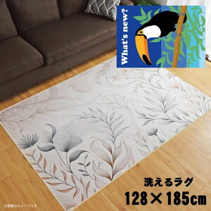 O 􂦂 k  1.5 128×185cm J[ybg 1.5 CXg ANZgO ANZg}bg I[V[Y rO _CjO Q zbgJ[ybgΉ ]ʃvg TEN092-