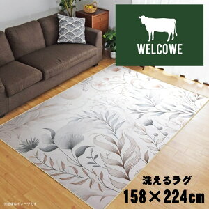 O 􂦂 k  3 158×224cm J[ybg 3 CXg ANZgO ANZg}bg I[V[Y rO _CjO Q zbgJ[ybgΉ ]ʃvg TEN104-E 