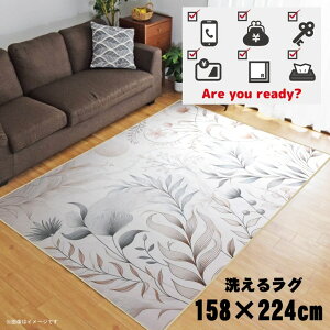 O 􂦂 k  3 158×224cm J[ybg 3 CXg ANZgO ANZg}bg I[V[Y rO _CjO Q zbgJ[ybgΉ ]ʃvg TEN111-E 