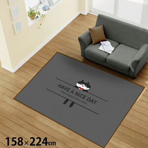 O 􂦂 k  3 158×224cm J[ybg CXg ANZgO ANZg}bg I[V[Y rO _CjO Q zbgJ[ybgΉ ]ʃvg TEN131-E Ԃ