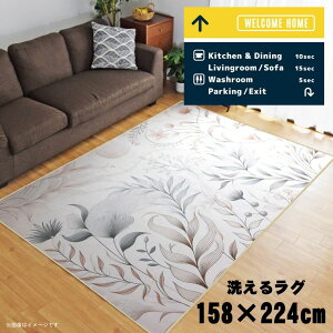 O 􂦂 k  3 158×224cm J[ybg 3 CXg ANZgO ANZg}bg I[V[Y rO _CjO Q zbgJ[ybgΉ ]ʃvg TEN074-E 