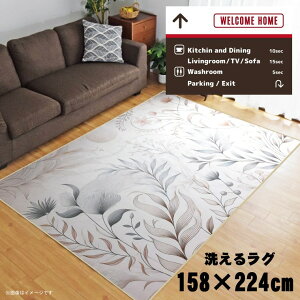 O 􂦂 k  3 158×224cm J[ybg 3 CXg ANZgO ANZg}bg I[V[Y rO _CjO Q zbgJ[ybgΉ ]ʃvg TEN075-E 