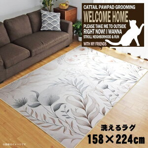 O 􂦂 k  3 158×224cm J[ybg 3 CXg ANZgO ANZg}bg I[V[Y rO _CjO Q zbgJ[ybgΉ ]ʃvg TEN082-E 