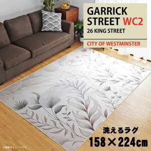 O 􂦂 k  3 158×224cm J[ybg 3 CXg ANZgO ANZg}bg I[V[Y rO _CjO Q zbgJ[ybgΉ ]ʃvg TEN084-E 