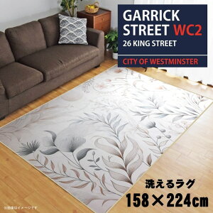 O 􂦂 k  3 158×224cm J[ybg 3 CXg ANZgO ANZg}bg I[V[Y rO _CjO Q zbgJ[ybgΉ ]ʃvg TEN085-E 