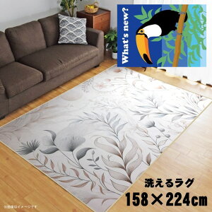 O 􂦂 k  3 158×224cm J[ybg 3 CXg ANZgO ANZg}bg I[V[Y rO _CjO Q zbgJ[ybgΉ ]ʃvg TEN092-E 