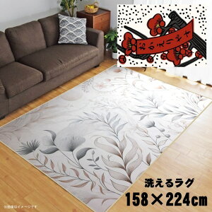 O 􂦂 k  3 158×224cm J[ybg 3 CXg ANZgO ANZg}bg I[V[Y rO _CjO Q zbgJ[ybgΉ ]ʃvg TEN094-E 