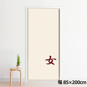 のれん 暖簾 洗える 目隠し 間仕切り タペストリー オリジナルプリント 転写 約85×200cm 200丈 ミラーレース NOR-C0128 女02 反転