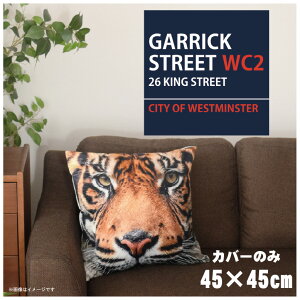 NbVJo[ 45×45cm 􂦂  􂢑ւ wăNbV \t@[` tANbV  ]ʃvg CSC-A100 K[bNXg[glCr[