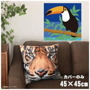 NbVJo[ 45×45cm 􂦂  􂢑ւ wăNbV \t@[` tANbV  ]ʃvg CSC-A107 yJlCr[