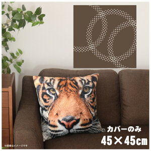 NbVJo[ 45×45cm 􂦂  􂢑ւ wăNbV \t@[` tANbV  ]ʃvg CSC-A108 gOuE