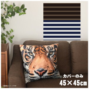 NbVJo[ 45×45cm 􂦂  􂢑ւ wăNbV \t@[` tANbV  ]ʃvg CSC-A116 XgCv_[NuE