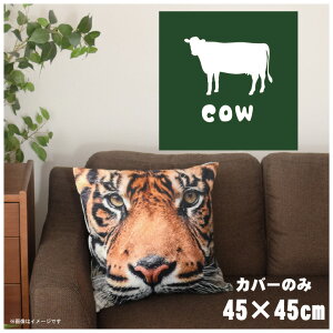 NbVJo[ 45×45cm 􂦂  􂢑ւ wăNbV \t@[` tANbV  ]ʃvg CSC-A119 JE}bgO[