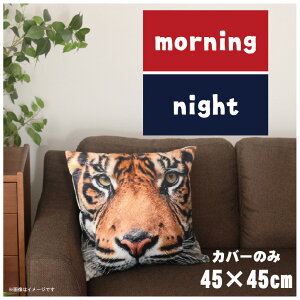 NbVJo[ 45×45cm 􂦂  􂢑ւ wăNbV \t@[` tANbV  ]ʃvg CSC-A120 c[gl