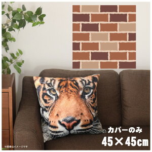 NbVJo[ 45×45cm 􂦂  􂢑ւ wăNbV \t@[` tANbV  ]ʃvg CSC-A123 KEH[