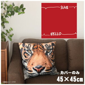 NbVJo[ 45×45cm 􂦂  􂢑ւ wăNbV \t@[` tANbV  ]ʃvg CSC-A127 CAEgbh