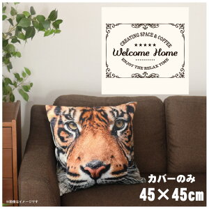 NbVJo[ 45×45cm 􂦂  􂢑ւ wăNbV \t@[` tANbV  ]ʃvg CSC-A080 K[zCg