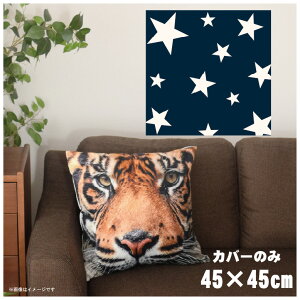 NbVJo[ 45×45cm 􂦂  􂢑ւ wăNbV \t@[` tANbV  ]ʃvg CSC-A081 EFX^lCr[