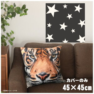 NbVJo[ 45×45cm 􂦂  􂢑ւ wăNbV \t@[` tANbV  ]ʃvg CSC-A082 EFX^O[