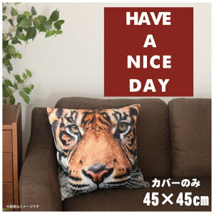 NbVJo[ 45×45cm 􂦂  􂢑ւ wăNbV \t@[` tANbV  ]ʃvg CSC-A085 iCXfCbh