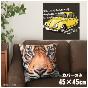 NbVJo[ 45×45cm 􂦂  􂢑ւ wăNbV \t@[` tANbV  ]ʃvg CSC-A086 gJ[CG[