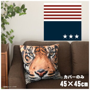 NbVJo[ 45×45cm 􂦂  􂢑ւ wăNbV \t@[` tANbV  ]ʃvg CSC-A087 AJlCr[