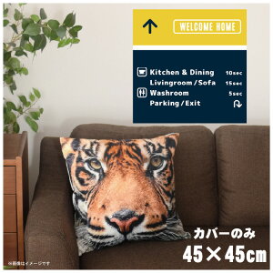 NbVJo[ 45×45cm 􂦂  􂢑ւ wăNbV \t@[` tANbV  ]ʃvg CSC-A089 WlCr[