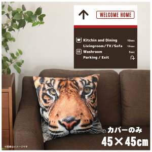 NbVJo[ 45×45cm 􂦂  􂢑ւ wăNbV \t@[` tANbV  ]ʃvg CSC-A090 WuE