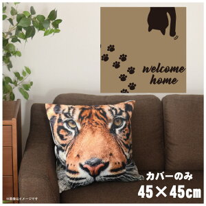 NbVJo[ 45×45cm 􂦂  􂢑ւ wăNbV \t@[` tANbV  ]ʃvg CSC-A096 L̎Ux[W