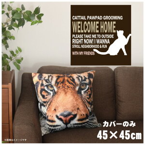 NbVJo[ 45×45cm 􂦂  􂢑ւ wăNbV \t@[` tANbV  ]ʃvg CSC-A097 VGbgLbguE