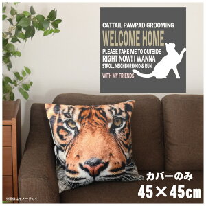 NbVJo[ 45×45cm 􂦂  􂢑ւ wăNbV \t@[` tANbV  ]ʃvg CSC-A098 VGbgLbgO[