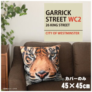 NbVJo[ 45×45cm 􂦂  􂢑ւ wăNbV \t@[` tANbV  ]ʃvg CSC-A099 K[bNXg[gzCg