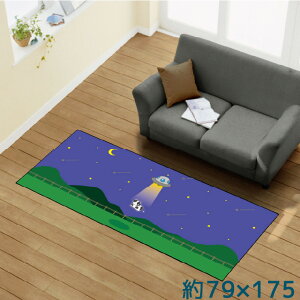 O 􂦂 k  79×175cm J[ybg CXg ANZgO ANZg}bg I[V[Y rO _CjO Q zbgJ[ybgΉ ]ʃvg TEN152-C  UFO A