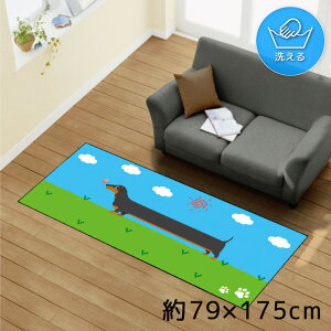 O 􂦂 k  79×175cm J[ybg CXg ANZgO ANZg}bg I[V[Y rO _CjO Q zbgJ[ybgΉ ]ʃvg TEN160-C _bNX