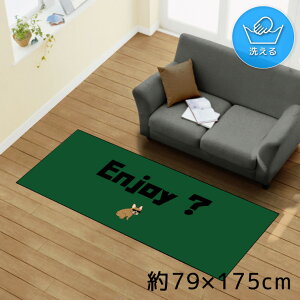 O 􂦂 k  79×175cm J[ybg CXg ANZgO ANZg}bg I[V[Y rO _CjO Q zbgJ[ybgΉ ]ʃvg TEN165-C uhb